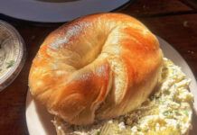 bagel activity