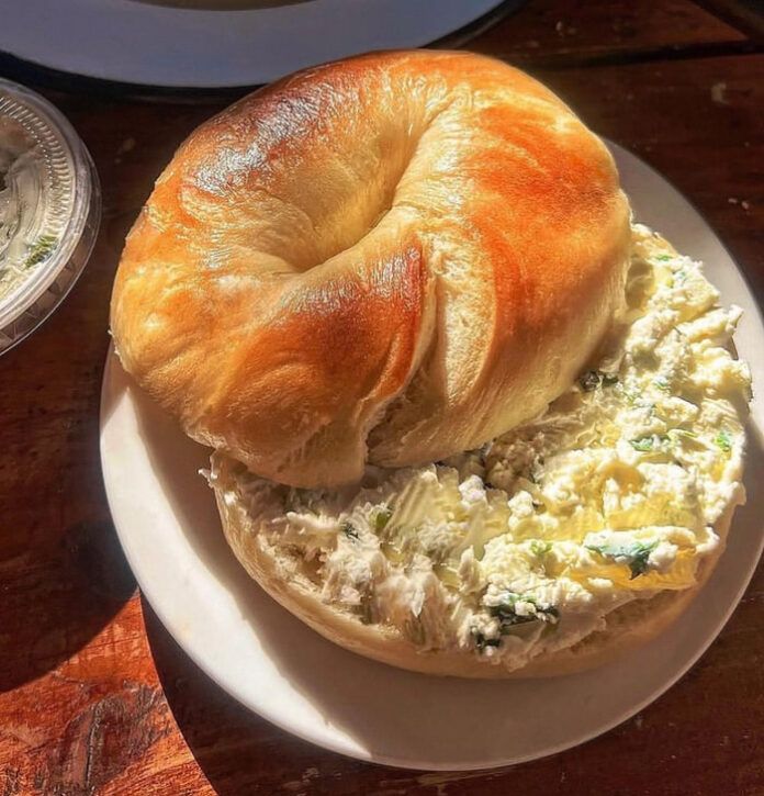 bagel activity