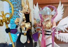 afaid 25 digi-in
