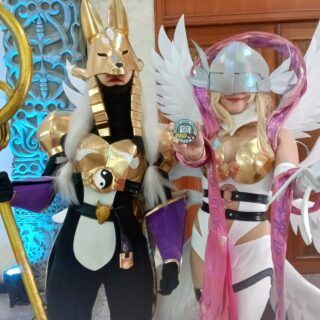afaid 25 digi-in