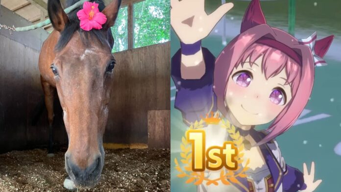 Uma Musume