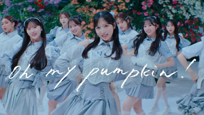 oh my pumpkin! akb48