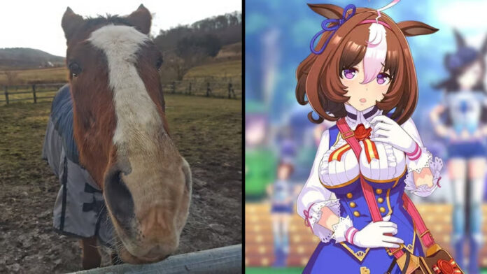 Umamusume