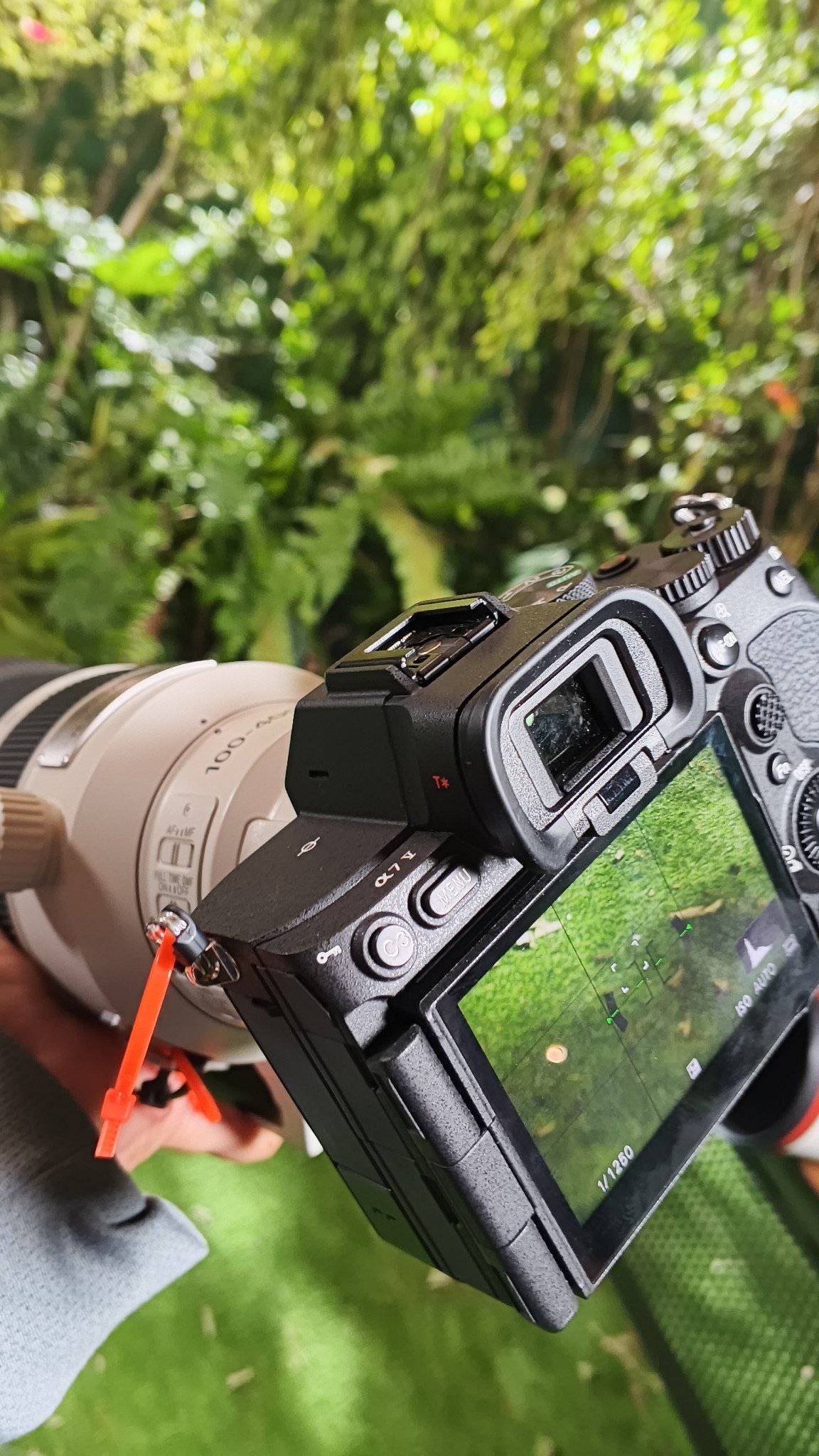 Hands-on Experience Sony Alpha 7 mark V