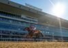 Tak Terbendung Di Jockey Club Gold Cup, Forever Young Menambah Kemenangan G1 Internasional-nya! G1 Jockey Club Gold Cup